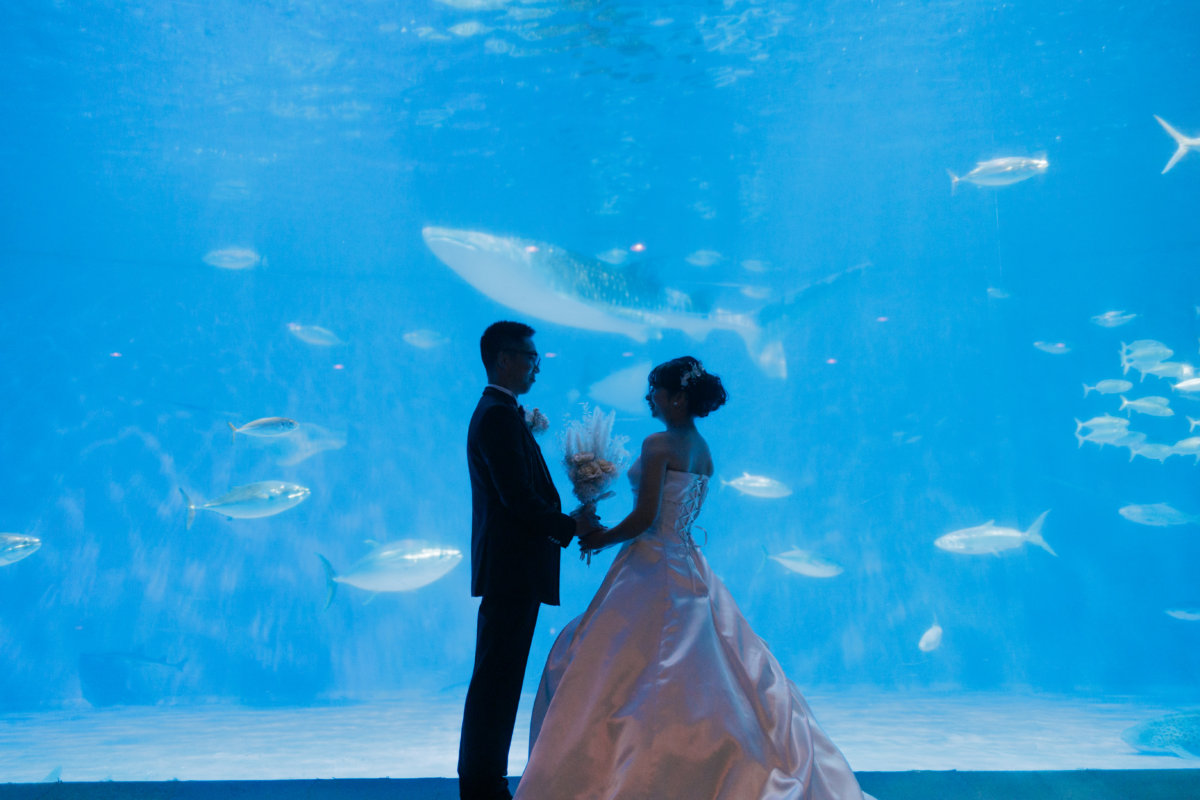 いおワールドかごしま水族館 5月12日｜｜鹿児島で和装の神社結婚式・和婚ならウェディングセレクト！和婚