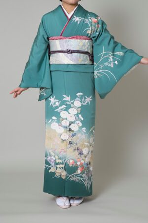 訪問着HA-4