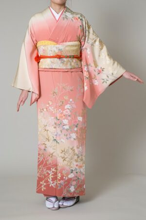 訪問着HA-7