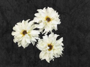 Artificial flower7