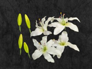 Artificial flower9